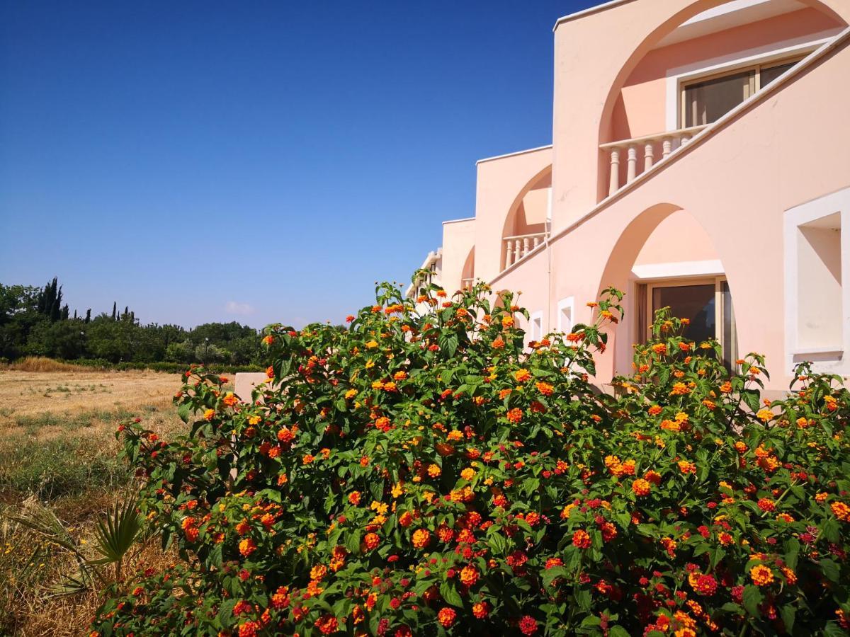 Seashell Apartments Paphos Ngoại thất bức ảnh